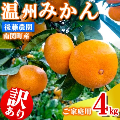 ご家庭用 後藤農園 温州みかん 4kg 訳あり 熊本県 南関町
