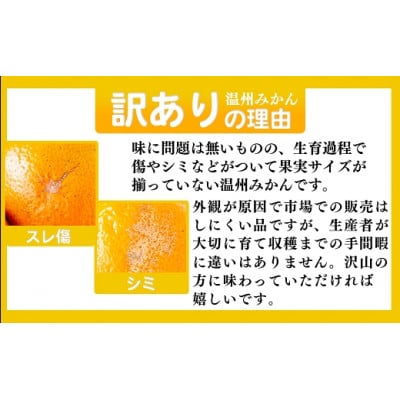 ご家庭用 後藤農園 温州みかん 4kg 訳あり 熊本県 南関町