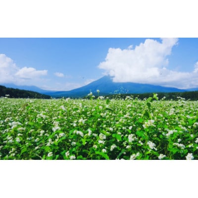 一茶の里の生(なま)そば 「200g(つゆ付)×8袋」