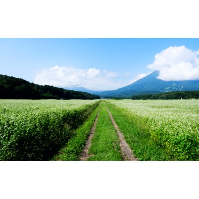 一茶の里の生(なま)そば 「200g(つゆ付)×10袋」