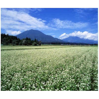 『奥信濃 黒姫 生(なま)そば』6食セット(生そば400g×3袋)つゆ付