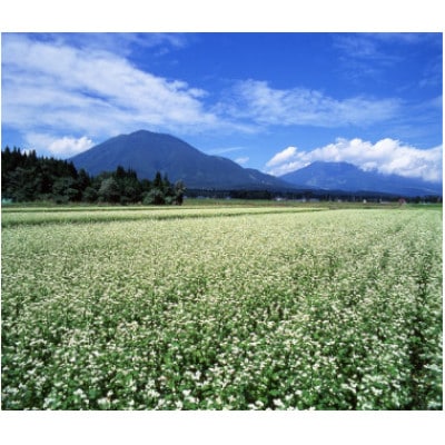 『奥信濃 黒姫 生(なま)そば』10食セット(生そば400g×5袋)つゆ付