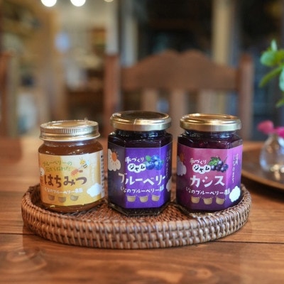 しなのブルーベリー農園「長野県信濃町産ジャム詰め合わせ」ブルーベリー・カシス・非加熱はちみつ 各1個