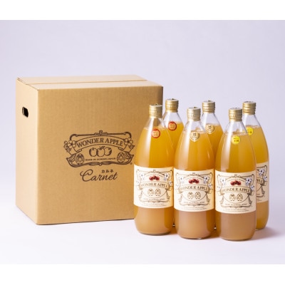 青森市産　カルネ　りんごジュース　3種6本セット