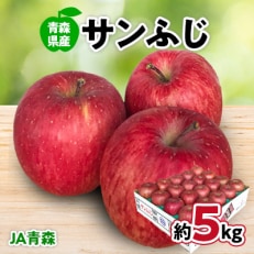 JA青森 青森県産りんご「サンふじ」約5kg_A1-1