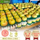 「とき」約10kg・糖度14度以上保証・訳あり家庭用りんご