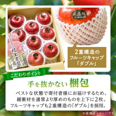 【りんご品評会最高賞】特選/贈答用 糖度14度以上保証「サンふじ」3kg りんご