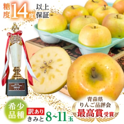 【希少品種】「きみと」約3kg・糖度14度以上保証・訳あり家庭用りんご