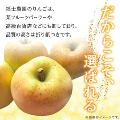 【希少品種】「きみと」約3kg・糖度14度以上保証・訳あり家庭用りんご