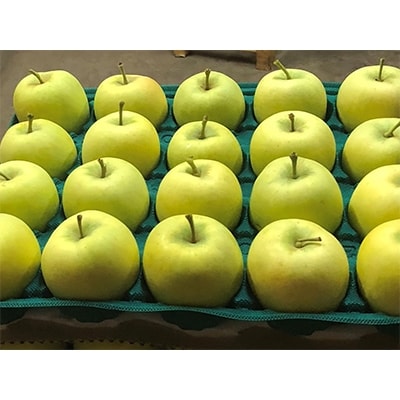 【希少品種】「メルシー」約5kg・訳あり家庭用りんご 青森市長賞受賞