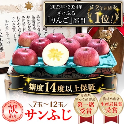 「サンふじ」約3kg・糖度14度以上保証・訳あり 家庭用 りんご 【青森県りんご品評会第一席受賞】