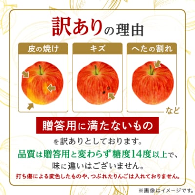【りんご品評会最高賞】「サンふじ」約3kg・糖度14度以上保証・訳あり 家庭用 りんご