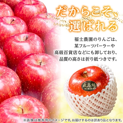 【りんご品評会最高賞】「サンふじ」約3kg・糖度14度以上保証・訳あり 家庭用 りんご