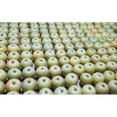 「王林」約10kg・糖度14度以上保証・訳あり家庭用りんご