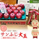 「サンふじ」大玉約5kg・糖度14度以上保証・訳あり家庭用りんご