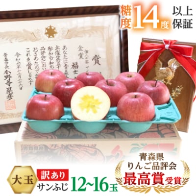 【りんご品評会最高賞】大玉 約5kg 糖度14度以上保証 訳あり 家庭用 りんご 「サンふじ」