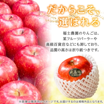 【品評会最高賞の福士農園からお試し品をお届け】糖度13度以上保証!「サンふじ」訳あり りんご