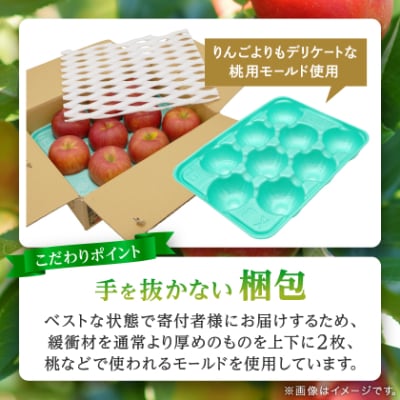 【品評会最高賞の福士農園からお試し品をお届け】糖度13度以上保証!「サンふじ」訳あり りんご
