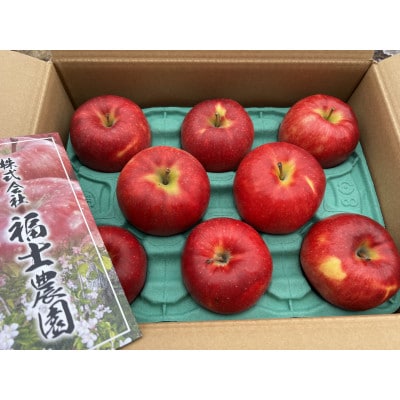 「葉とらずサンジョナ」約3kg・訳あり家庭用りんご