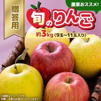 贈答用【2025年8月～9月発送】農家おススメ!旬のりんご約3kg(9玉～11玉入り)(冷蔵)