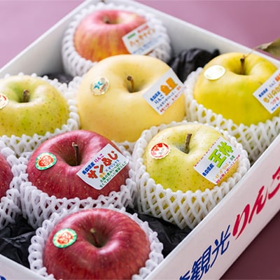 贈答用【2025年8月～9月発送】農家おススメ!旬のりんご約3kg(9玉～11玉入り)(冷蔵)