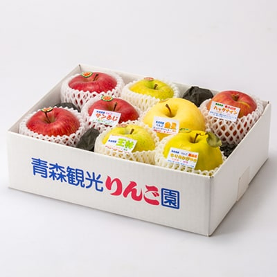 贈答用【2025年8月～9月発送】農家おススメ!旬のりんご約3kg(9玉～11玉入り)(冷蔵)