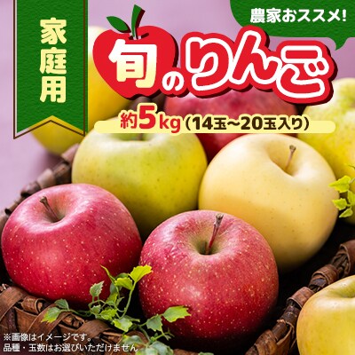 家庭用【2025年8月～9月発送】農家おススメ!旬のりんご約5kg(14玉～20玉入り)(冷蔵)