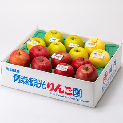 家庭用【2025年8月～9月発送】農家おススメ!旬のりんご約5kg(14玉～20玉入り)(冷蔵)
