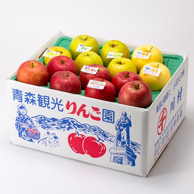 家庭用【2025年8月～9月発送】農家おススメ!旬のりんご約10kg(28玉～40玉入り)(冷蔵)