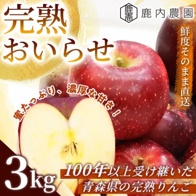 【蜜入りで濃厚な甘さ】りんご 「完熟おいらせ」(冷蔵) 約3kg (約8～11個) 青森市 産地直送