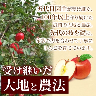 【蜜入りで濃厚な甘さ】りんご 「完熟おいらせ」(冷蔵) 約3kg (約8～11個) 青森市 産地直送