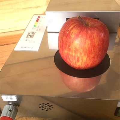 りんご 「葉取らずふじ」 (蜜入判定) 約5kg (14～20個) 