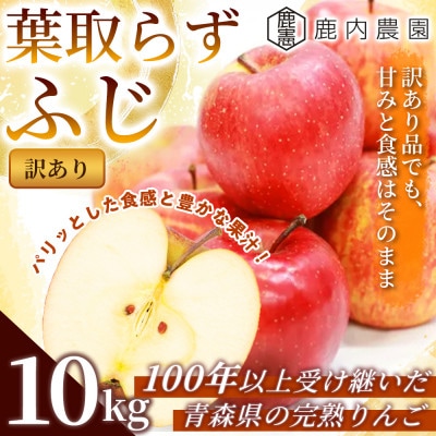 【訳あり】りんご 「葉取らずふじ」 約10kg ((約32～40個) 青森市 産地直送