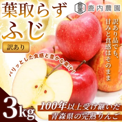 【訳あり】りんご 「葉取らずふじ」 約3kg (約(9～12個入り) 青森市 産地直送