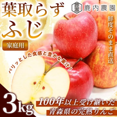 【甘くてみずみずしい】 りんご 「葉取らずふじ」 家庭用 約3kg (約9～12個入り) 青森市 産