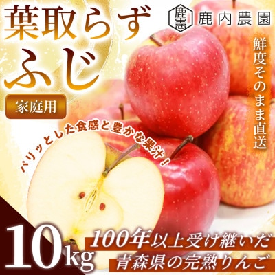 【甘くてみずみずしい】 りんご 「葉取らずふじ」家庭用 約10kg (約32～40個) 青森市 産地