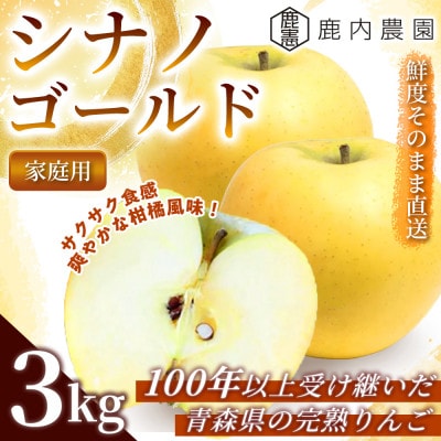 【爽やかな甘み】 りんご 「シナノゴールド」 家庭用 約3kg (約9～12玉) 青森市 産地直送