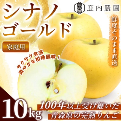 【爽やかな甘み】りんご 「シナノゴールド」 家庭用 約10kg (約32～40個) 青森市 産地直送