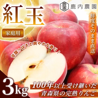 【甘酸っぱさと爽やかな香り】りんご 「紅玉」 家庭用 約3kg (約9～12個) 青森市 産地直送