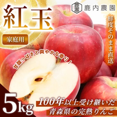 【甘酸っぱさと爽やかな香り】りんご 「紅玉」家庭用 約5kg (約14～20個) 青森市 産地直送
