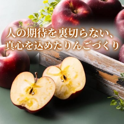 【甘酸っぱさと爽やかな香り】りんご 「紅玉」家庭用 約5kg (約14～20個) 青森市 産地直送