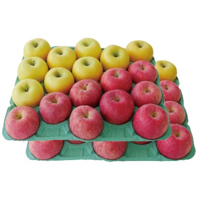 りんご サンふじ&シナノゴールド 家庭用 約10kg (5kg&5kg) 