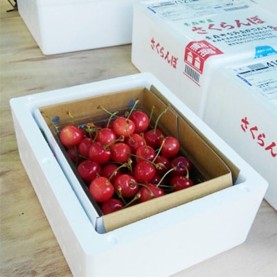 【さとふる限定】さくらんぼ「紅てまり」(M～L　約500g×1パック)