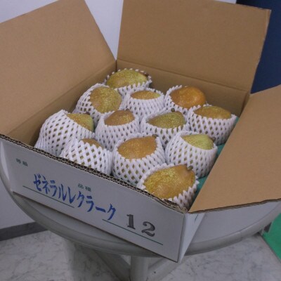 【さとふる限定】西洋梨「ゼネラル・レクラーク」約3kg(6個～10個)