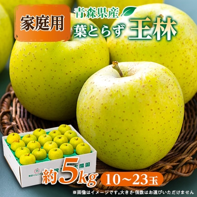 青森県産りんご「葉取らず王林」約5kg(家庭用)