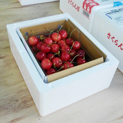 【さとふる限定】さくらんぼ「サミット」(L～2Lミックス 700g×1パック)