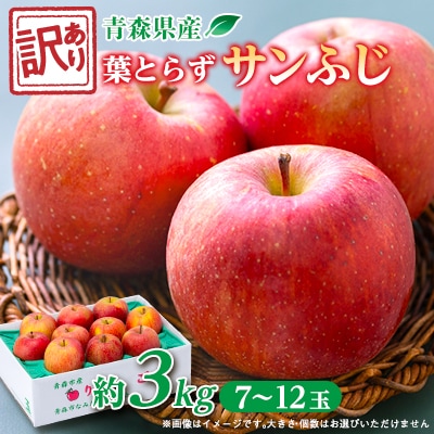 【訳ありりんご】葉とらずサンふじ約3kg(お試し用)