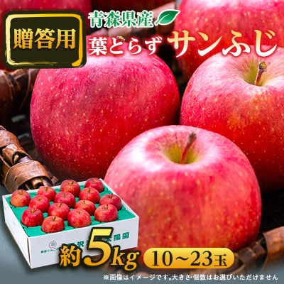 【贈答用】 青森県産りんご「葉とらずサンふじ」約5kg
