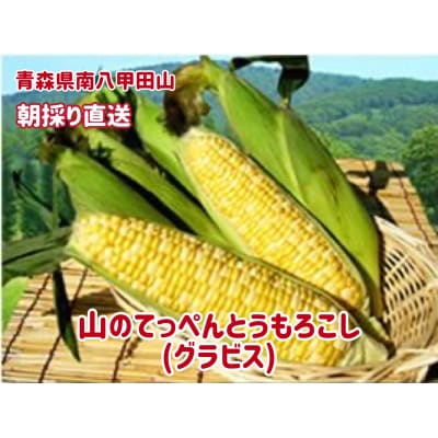 青森八甲田!　山のてっぺんとうもろこし　　12本セット【沖縄・離島配送不可】