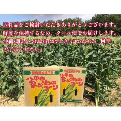 青森八甲田!　山のてっぺんとうもろこし　　12本セット【沖縄・離島配送不可】